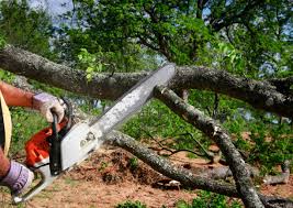 Best Emergency Tree Removal  in Hoquiam, WA